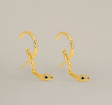 Serpent Front Back